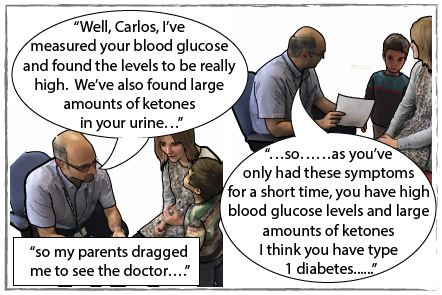 Carlos meets doctor with his mother with the caption: so my parents dragged me to see the doctor. The doctor says "Well, Carlos, I've measured your blood glucose and found the levels to be really high. We've also found large amounts of ketones in your urine so as you've only had these symptoms for a short time, you have high blood glucose levels and large amounts of ketones I think you have type 1 diabetes".