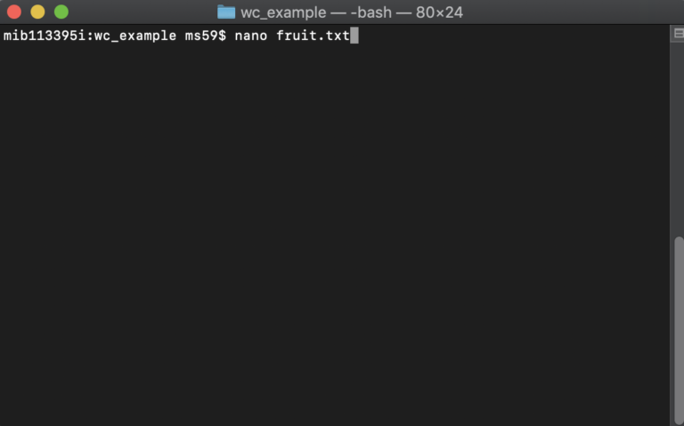 screenshot of command creating a file named fruit.txt