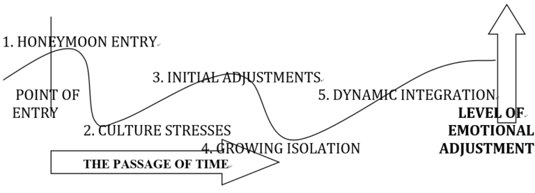 Going through waves of cultural adaption Image 1