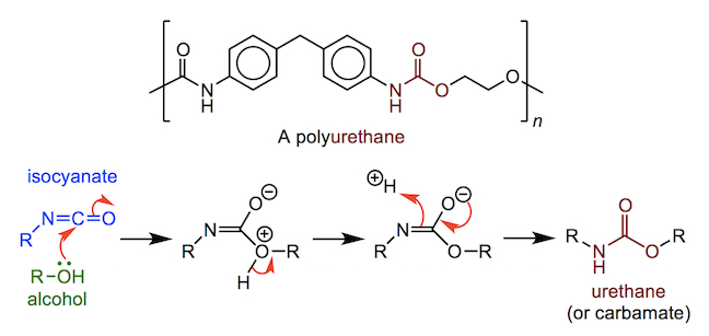the structure and formation of a polyisoprene