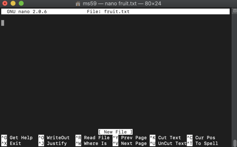 screenshot of the nano editor open