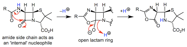 The acylamino side chain can act as an internal nucleophile