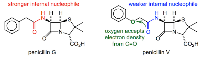 A comparison of penicillins G and V