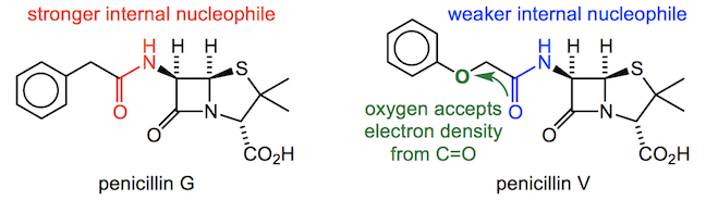 The Mode Of Action Of Penicillin