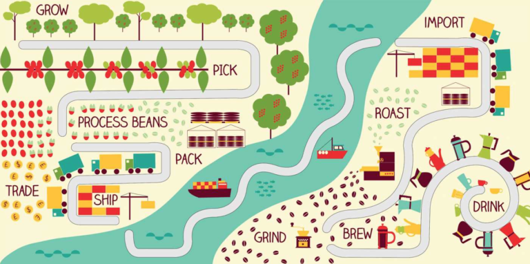 A diagram of the route coffee beans take, showing the large number of steps in the production of coffee. It illustrates that the growth, picking, processing and packing are generally carried out in the country of origin and then trading takes place to sell that product to other countries that will then import, roast and grind coffee before selling it on to be brewed.