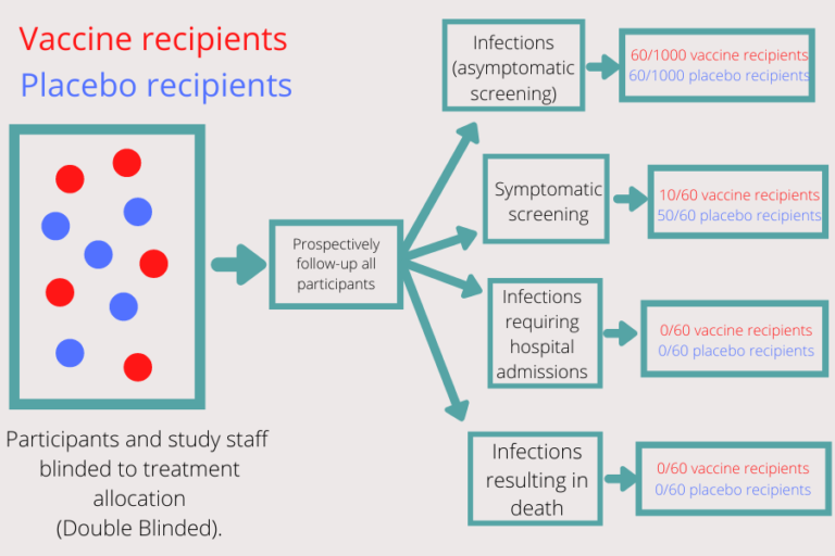 Study where both participants and study stuff are blinded to the treatment. In the follow up, it shows that the number of cases of infection between the vaccine and placebo group are the same. Symptomatic infections are less, infections requiring hospital admission are the same as well as infections resulting in death