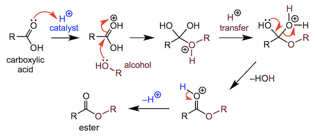 a nucleophilic acyl substitution reaction of a carboxylic acid with an alcohol to form an ester