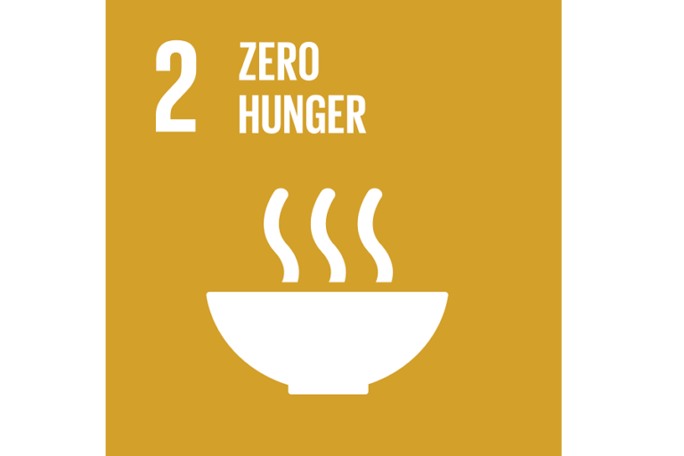 Zero Hunger Sustainable Development Goal Logo
