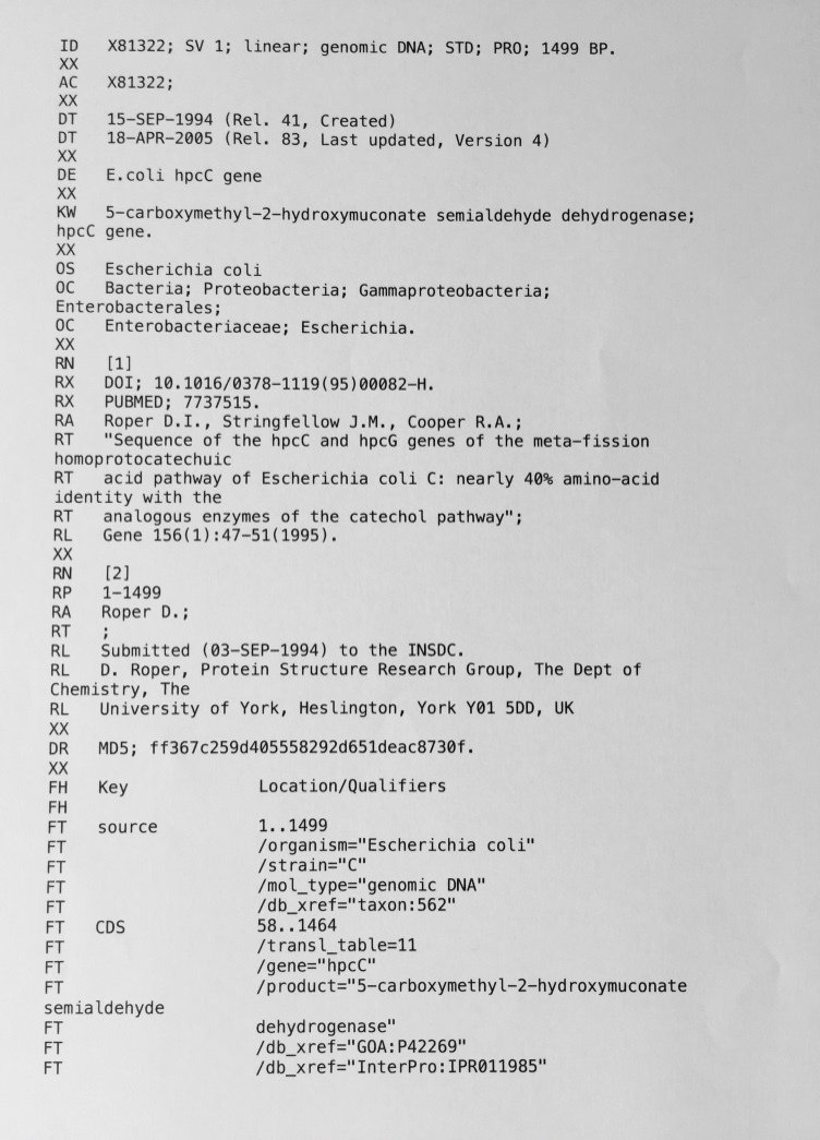 equivalent sequence entry to _E.coli_ X81322 in EMBL format