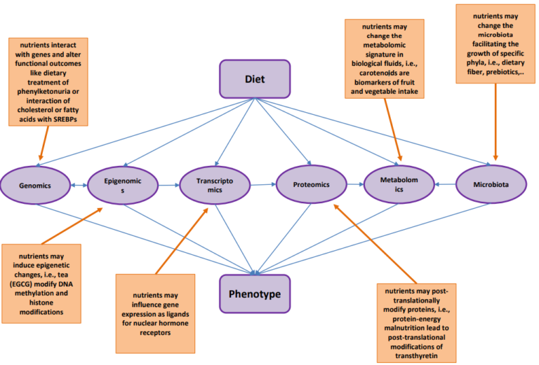 Figure 3 - Dietary factors