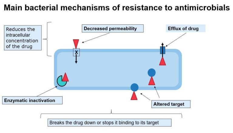 Image showing the main bacterial mechanisms of resistance to antimicrobials including decreased permeability, enzymatic inactivation and altered targets.