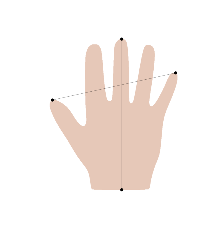 Measurements for the length and the span of a hand shape.