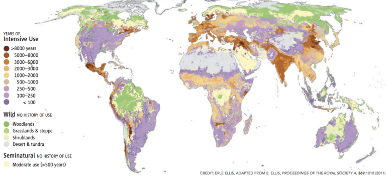 Map demonstrating the anthropogenic change of the terrestrial biosphere. More intensive use around Europe, Mexico and India.