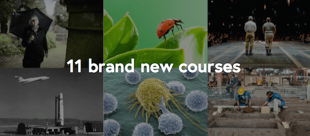 11 brand new courses