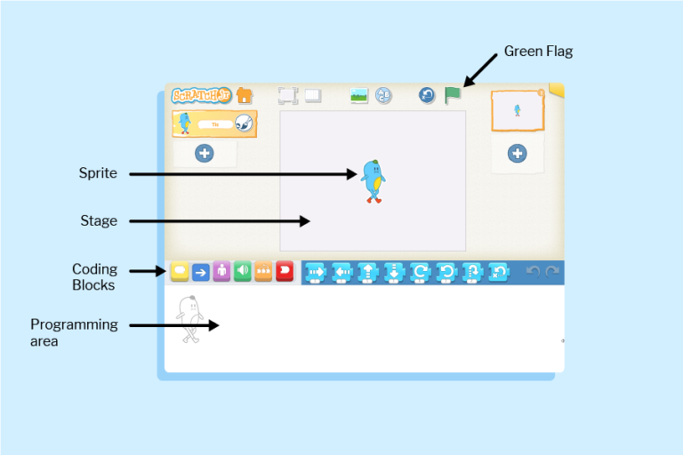 An annotated screenshot of the Scratchr interface. The green flag at the top is highlighted. The stage is shown in the centre, with a sprite in the middle of the stage. There is a row of coding blocks below the stage, and the space below this row is labelled as the programming area.