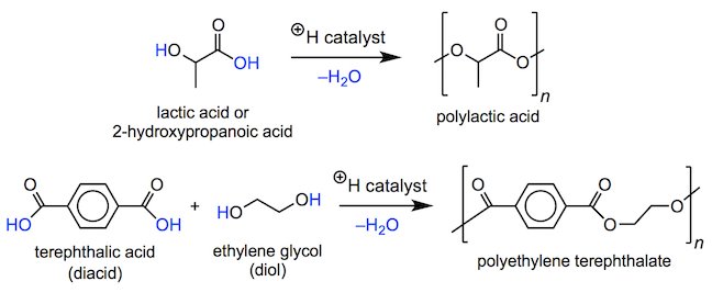 formation of different polyesters