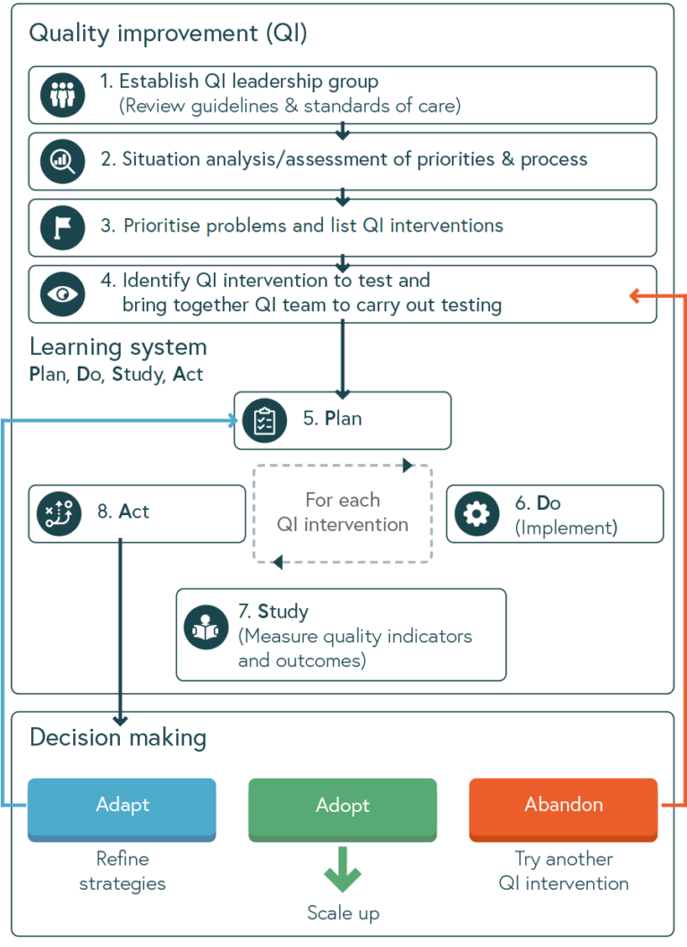 Illustration of the key steps to improving quality of care - described below