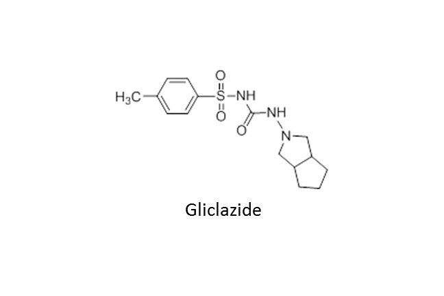 gliclazide article 648px