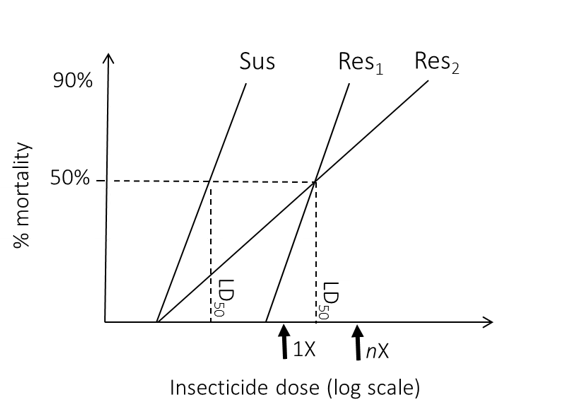 Figure 1: This line graph shows a hypothetical example of bioassay results. % mortality is plotted on the y axis and insecticide dose on the x axis. Three lines are present: a susceptible strain (Sus) and two test strains (Res1 & Res2). Both Res populations show a higher LD50 (the lethal dose it takes to kill 50% of the population) than the susceptible strain. The LD50s are marked with a dotted line. The line denoting Res2 shows a mix of susceptible and resistant individuals, whilst Res1 is indicative of a fully resistant population. The standard and higher level diagnostic doses are marked on the x axis by thick black arrows.