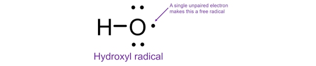 hydroxyl radical