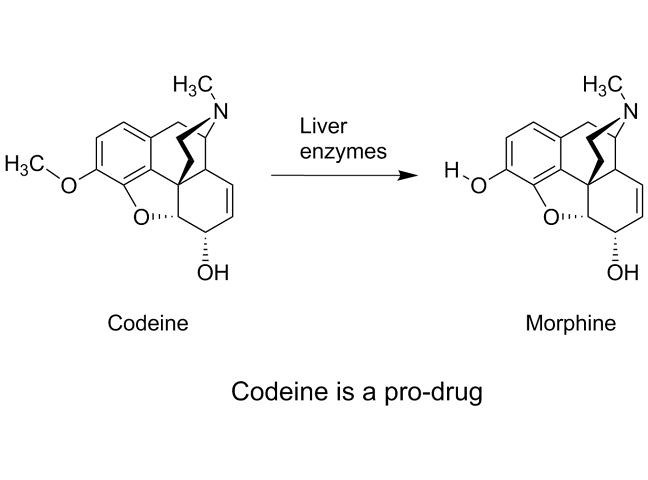 morphine_codeine_finalquiz