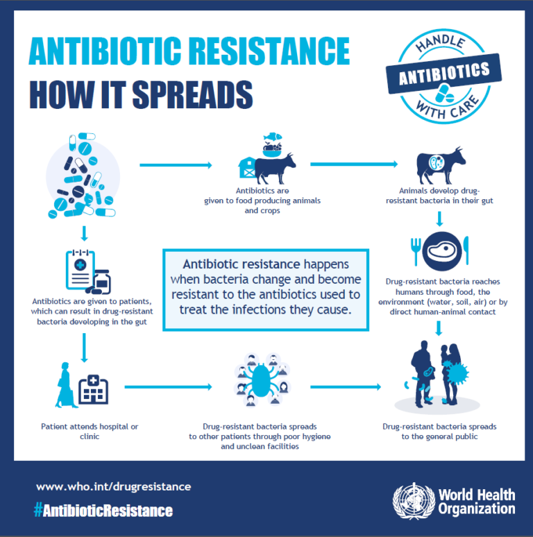 World Health Organization poster - 'Antibiotic Resistance: How it spreads'. "Antibiotic resistance happens when bacteria change and become resistant to the antibiotics used to treat the infections they cause."