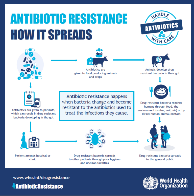 How Does Antibiotic Resistance Develop And Spread 9435