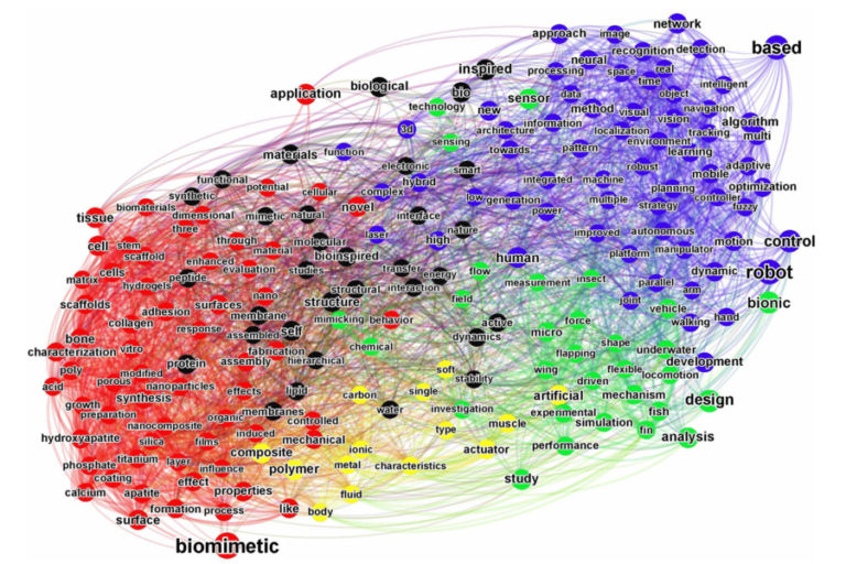 Connectedness of popular terms in biomimetics. Two words in the word cloud in figure 5 are considered connected if they co-occur within the same titles, with the co-occurrence frequency giving the connection strength. A Force Atlas algorithm was applied to these node words and connection strengths, which pulls together the connected terms. The graph is colored according to a modularity analysis, which finds communities within the connected network, where a community is defined to be a group of nodes that have denser intra-connections but sparser connections with other communities.