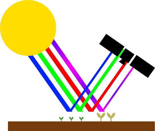diagram showing blue, green, red and purple light from the sun being reflected off healthy plants and monitored by a sensor. The rays representing green and red light are thicker than those representing blue and purple after reflecting off the plants.