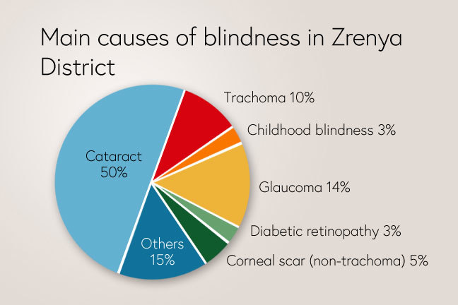 Causes of blindness in Zrenya