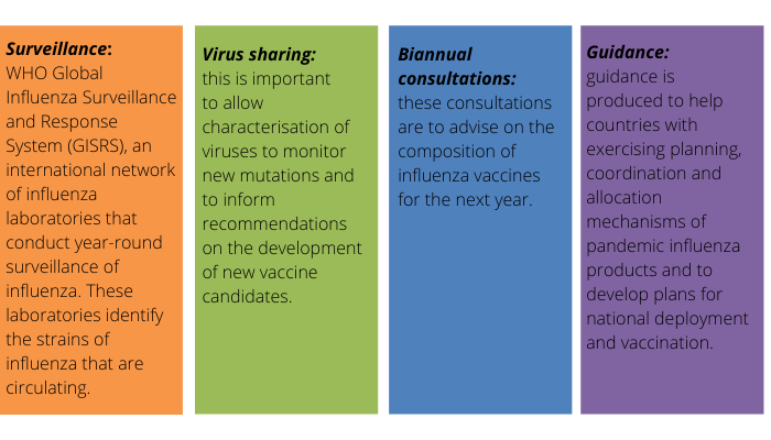Diagram showing how the influenza vaccine is modified - under the headings 'Surveillance', 'Virus sharing', 'Biannual consultation', and 'Guidance'.