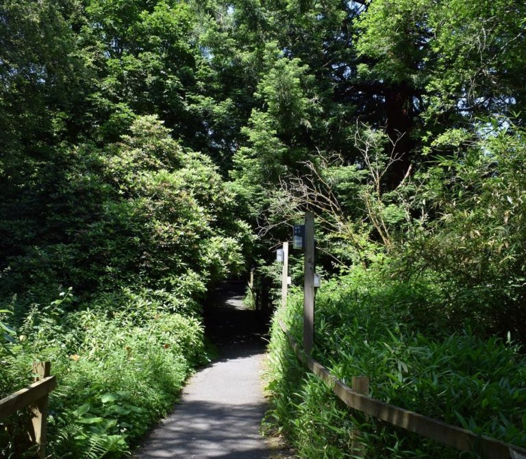 Streatham Campus, University of Exeter