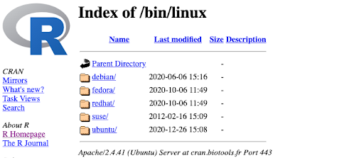 Comprehensive R Archive Network mirror site screen