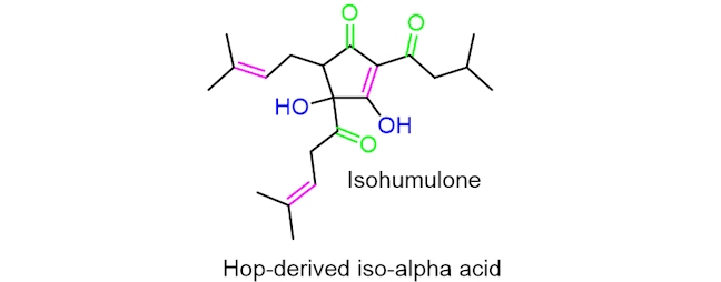 iso-humulone