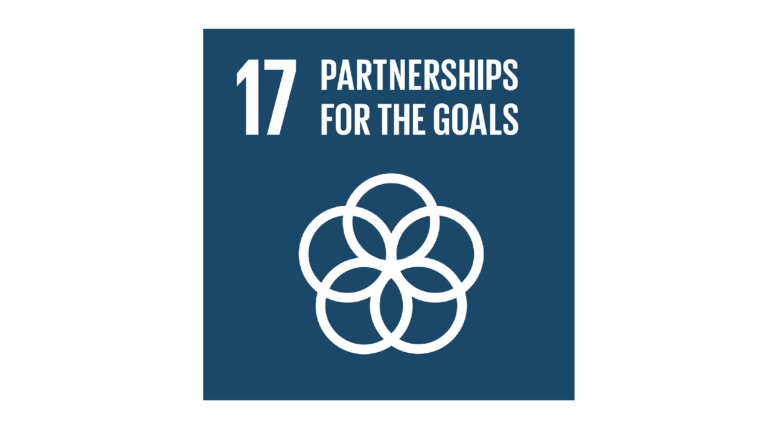 Image of SDG 17 - a venn diagram on blue background