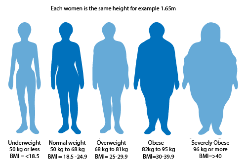 Obesity chart showing 5 figures from underweight to severely obese