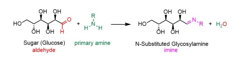 sugar amine condensation