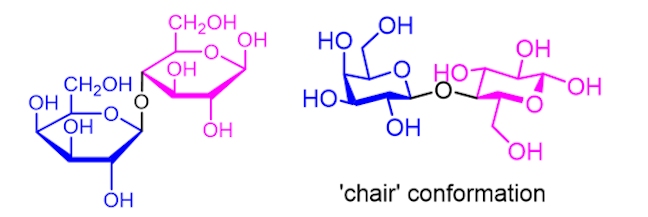 sugar conformations