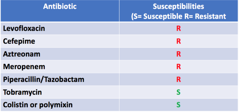 7 Antibiotics listed with their Susceptibilities: Levofloxacin - Resistant; Cefepime - Resistant, Aztreonam - Resistant, Meropenem - Resistant, Piperacillin/Tazobactam - Resistant, Tobramycin -Susceptible, Colistin or poylmicin - Susceptible