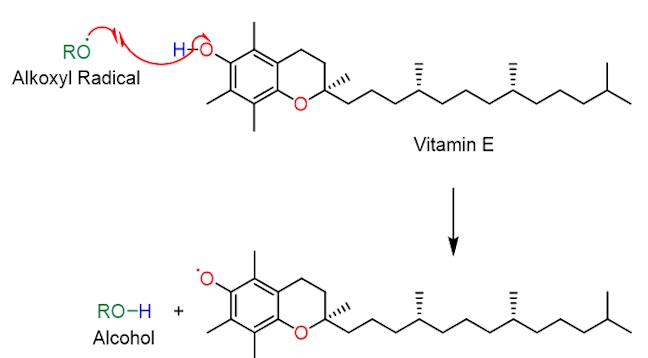 Propagation of vitamin E