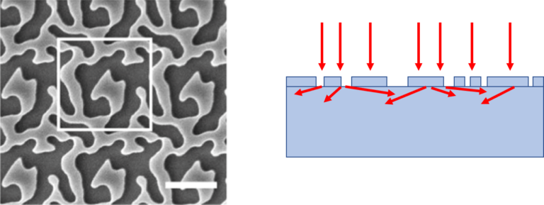 Left-hand image showing the 'quasirandom' nanostructure; Right-hand image illustrating the path of light just under the surface of the cell