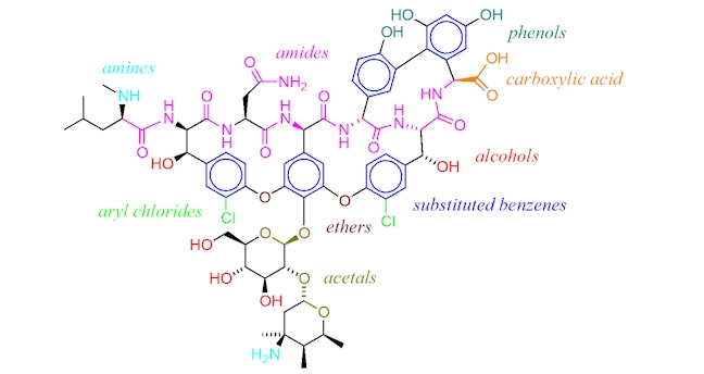 Mechanism of proton transfer in class A β-lactamase catalysis and  inhibition by avibactam | PNAS