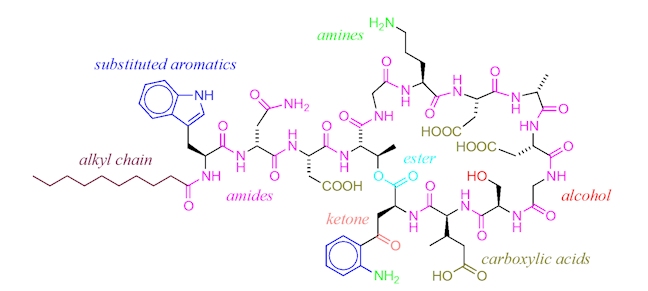 daptomycin