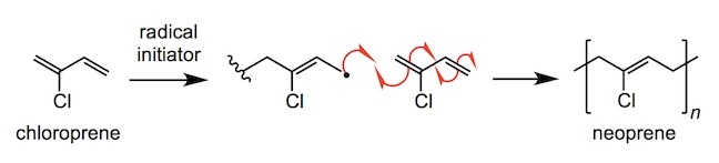 the synthesis of neoprene by radical polymerisation