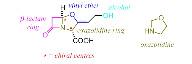 Chemical structures of the five classes of -lactam antibiotics. The... |  Download Scientific Diagram