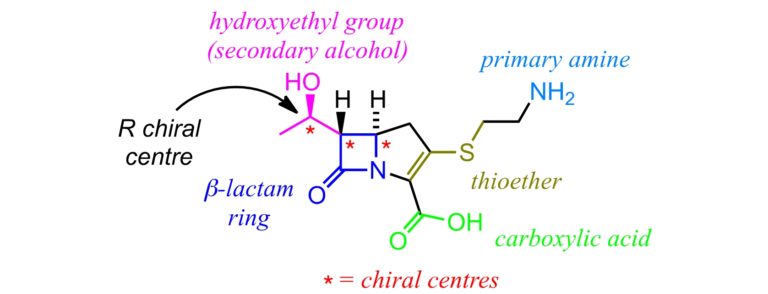 thienamycin