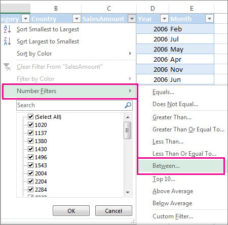 Screenshot of Filter options in Excel