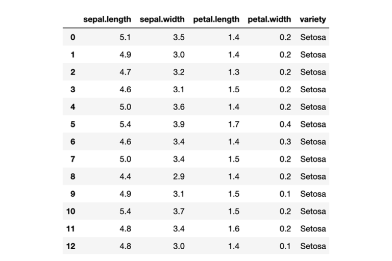 Screenshot of the jupyter notebook output displaying the relationship between Iris petal width and size. It shows a table with 6 columns and 14 rows. The first row contains the headings for columns 2 to 5. Column 2 heading reads "sepal.length". Column 3 heading reads "sepal.width". Column 4 heading reads "petal.length". Column 5 heading reads "petal.width". Column 6 heading reads "variety". Row 2 reads from left to right: 0, 5.1, 3.5, 1.4, 0.2, Setosa. Row 3 reads from left to right: 1, 4.9, 3.0, 1.4, 0.2, Setosa. Row 4 reads from left to right: 2, 4.7, 3.2, 1.3, 0.2, Setosa. Row 5 reads from left to right: 3, 4.6, 3.1, 1.5, 0.2, Setosa. Row 6 reads from left to right: 4, 5.0, 3.6, 1.4, 0.2, Setosa. Row 7 reads from left to right: 5, 5.4, 3.9, 1.7, 0.4, Setosa. Row 8 reads from left to right: 6, 4.6, 3.4, 1.4, 0.3, Setosa. Row 9 reads from left to right 7, 5.0, 3.4, 1.5, 0.2, Setosa. Row 10 reads from left to right: 8, 4.4, 2.9, 1.4, 0.2, Setosa. Row 11 reads from left to right: 9, 4.9, 3.1, 1.5, 0.1, Setosa. Row 12 reads from left to right: 10, 5.4, 3.7, 1.5, 0.2, Setosa. Row 13 reads from left to right: 11, 4.8, 3.4, 1.6, 0.2, Setosa. Row 14 reads from left to right: 12, 4.8, 3.0, 1.4, 0.1, Setosa.
