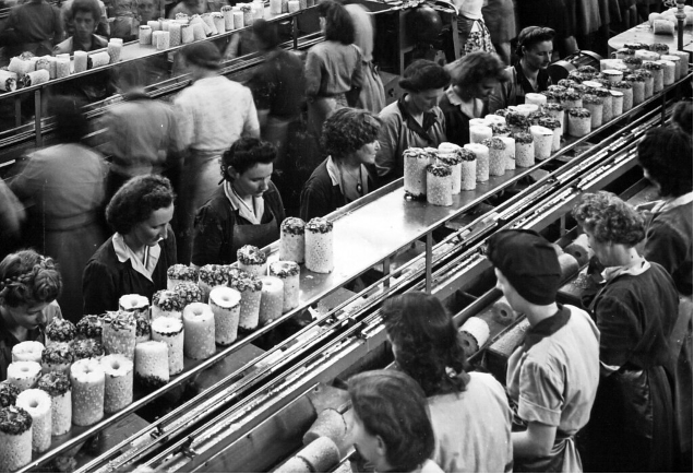 "Female workers at the Queensland Tropical Fruit Produce Cannery, Northgate, 6 March 1948"