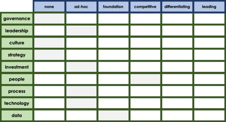 Matrix listing the 8 areas from the success model in the left column (governance, leadership, vulture, strategy, inverstment, people, process, techology and data) with the maturity scale as the header row along the top: none, ad-hoc, foundation, competitive, differentiating or leading